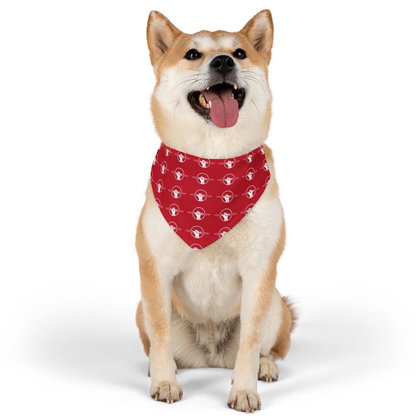Pet Bandana Collar for Dogs.