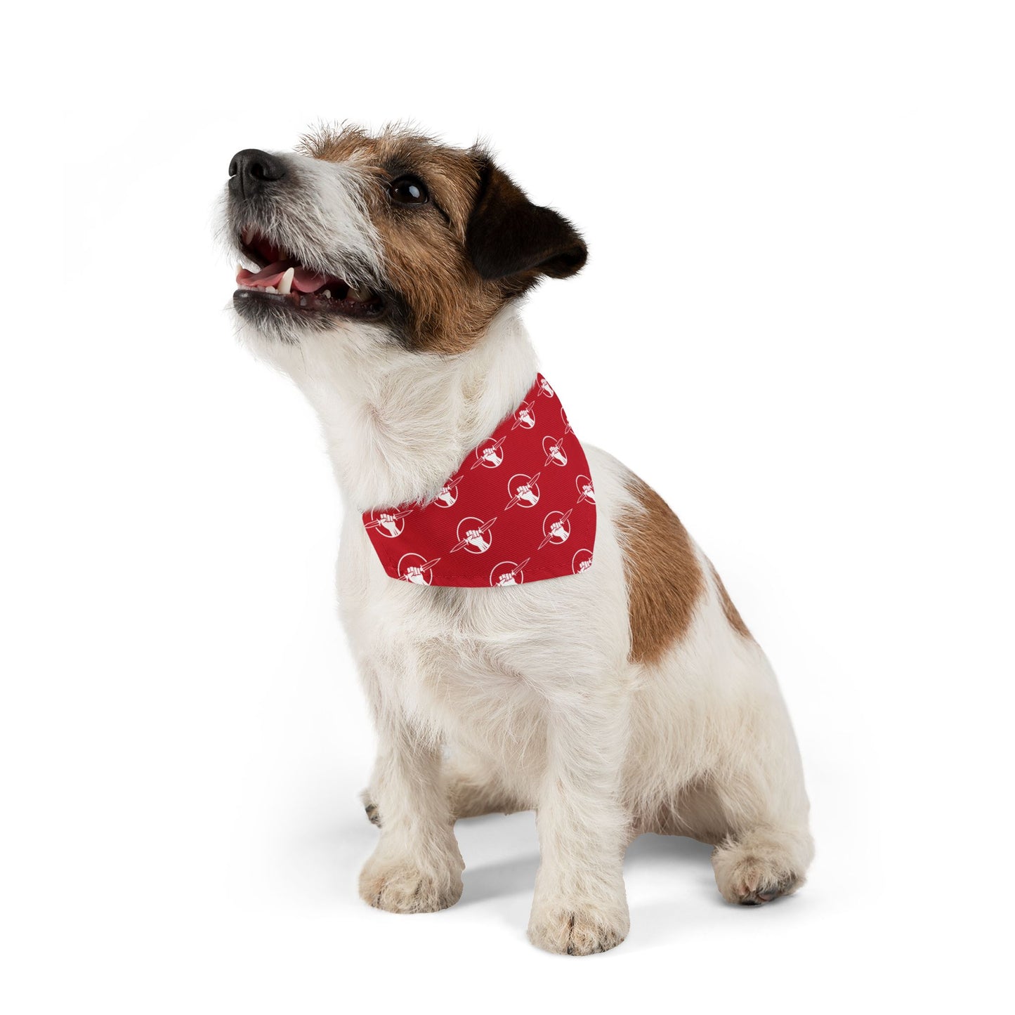 Pet Bandana Collar for Dogs.