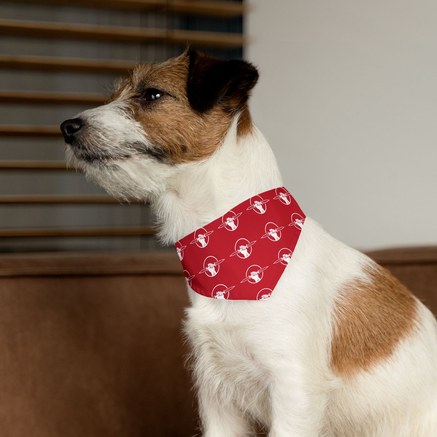Pet Bandana Collar for Dogs.