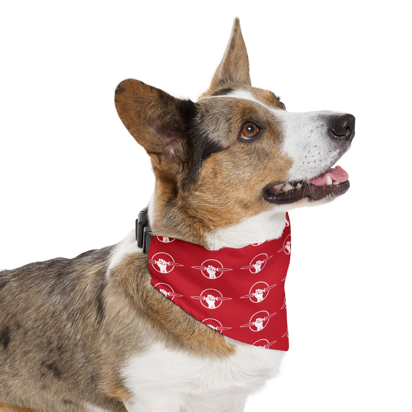 Pet Bandana Collar for Dogs.